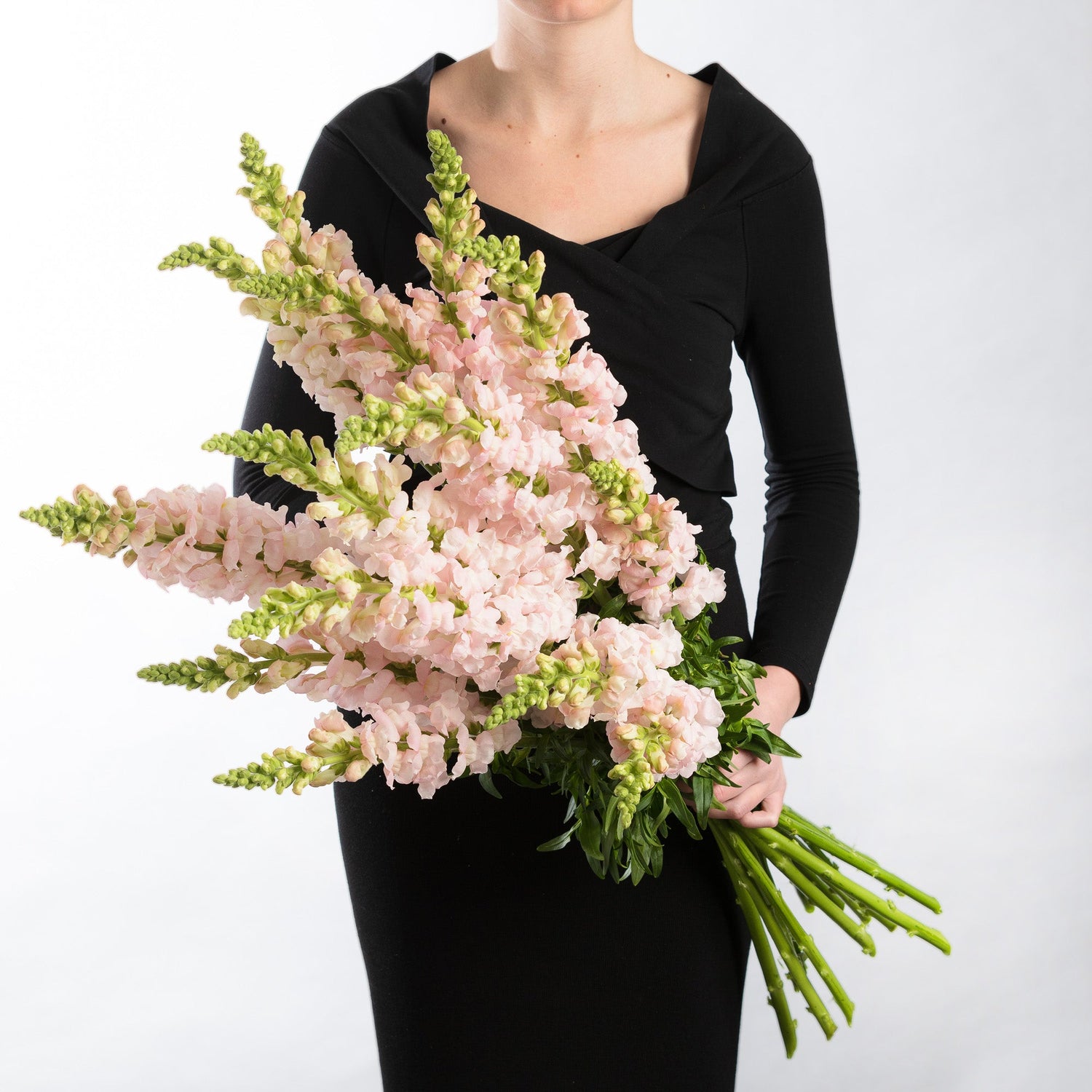 A woman wearing black holding a bouquet ot soft pink snapdragon flowers in a bouquet.