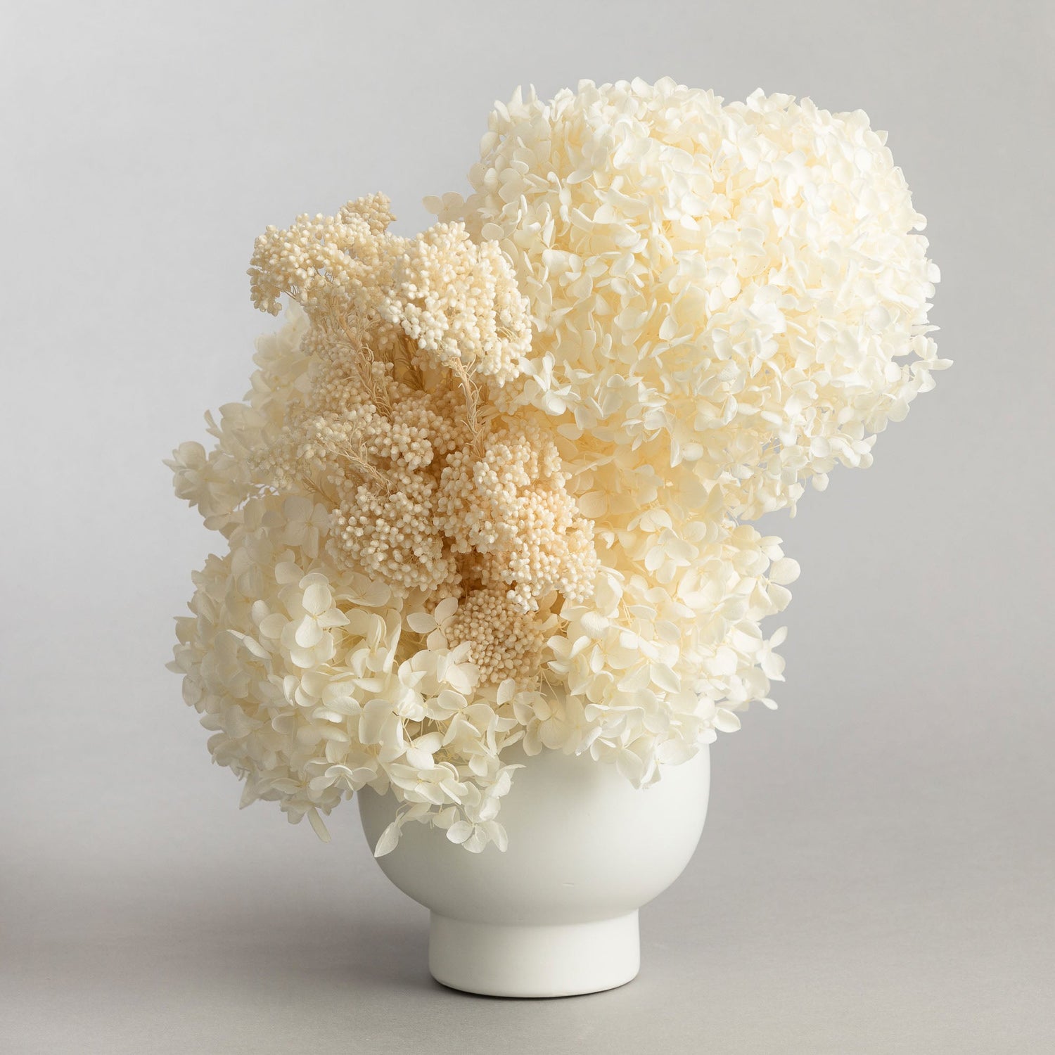 A white ceramic pot with a modern preserved flower arrangement in cream colours.