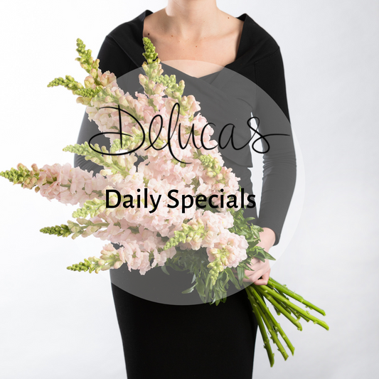Daily Special | Flowers
