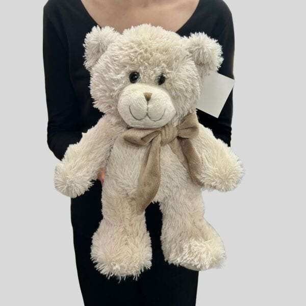 Harry Teddy