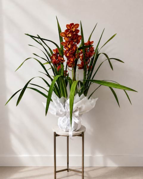 Wrapped bronze Cymbidium