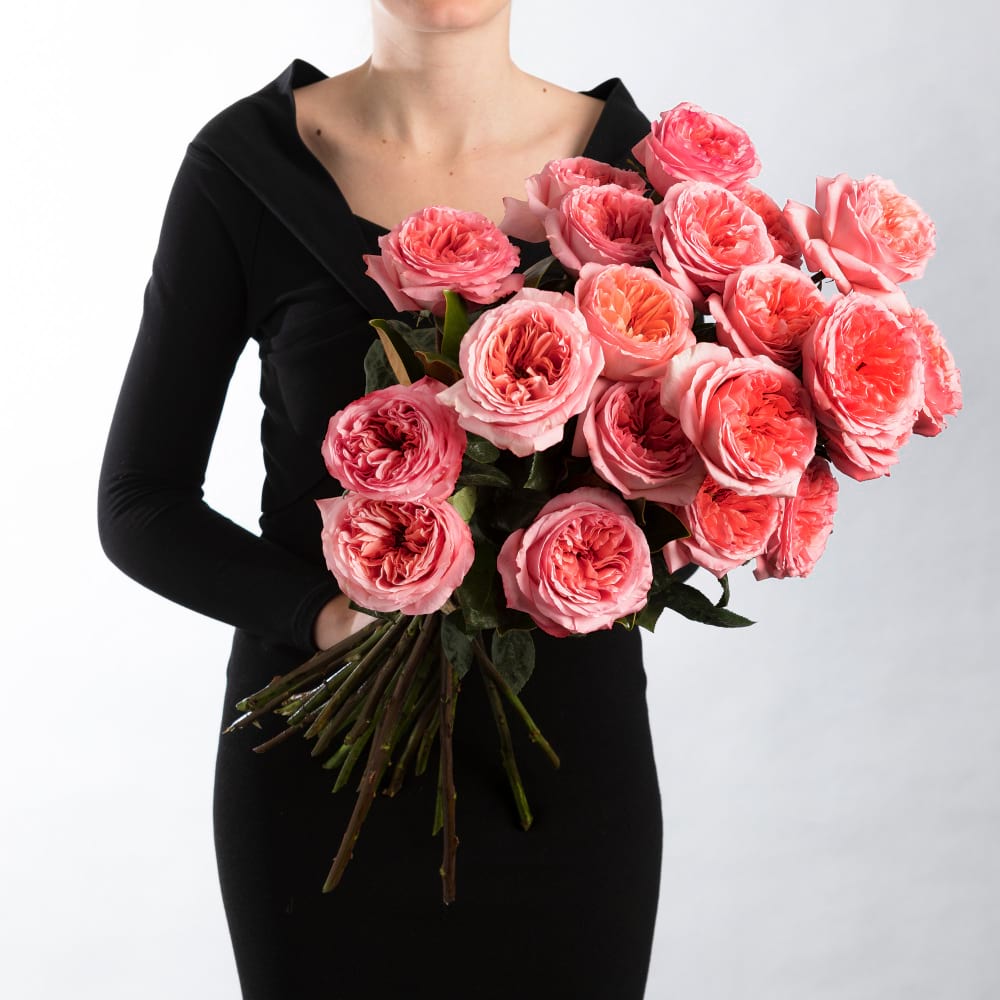 24-stem Pink Expression Rose Bouquet featuring premium soft blush pink roses with fresh seasonal foliage, handcrafted by Deluca`s Florist Sydney.